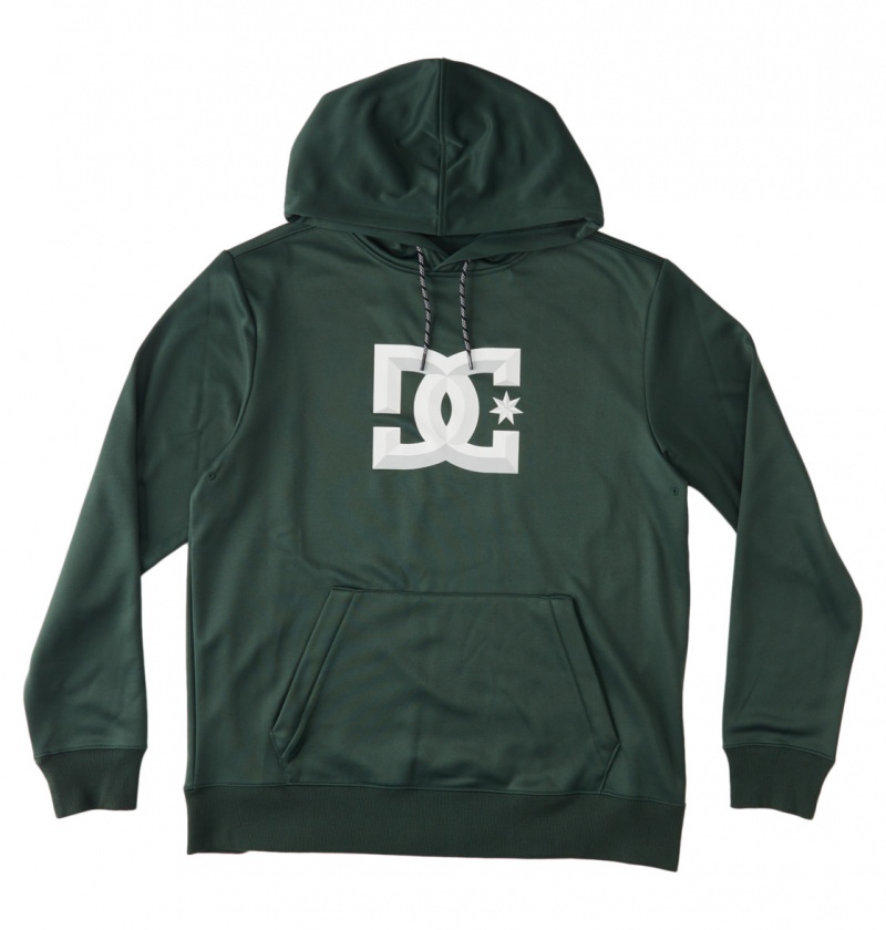 DC Shoes Snowstar - Technical Fleece Sycamore | 74659HUGX