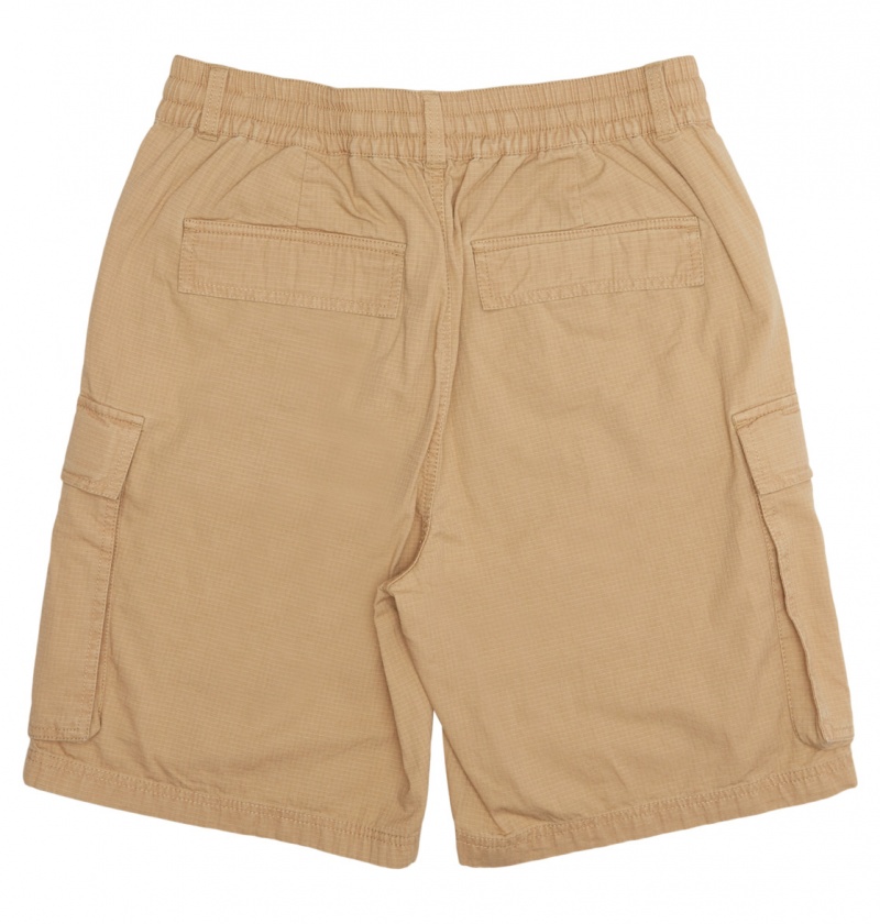 DC Shoes Tundra - Cargo Shorts Incense | 31684WNQD