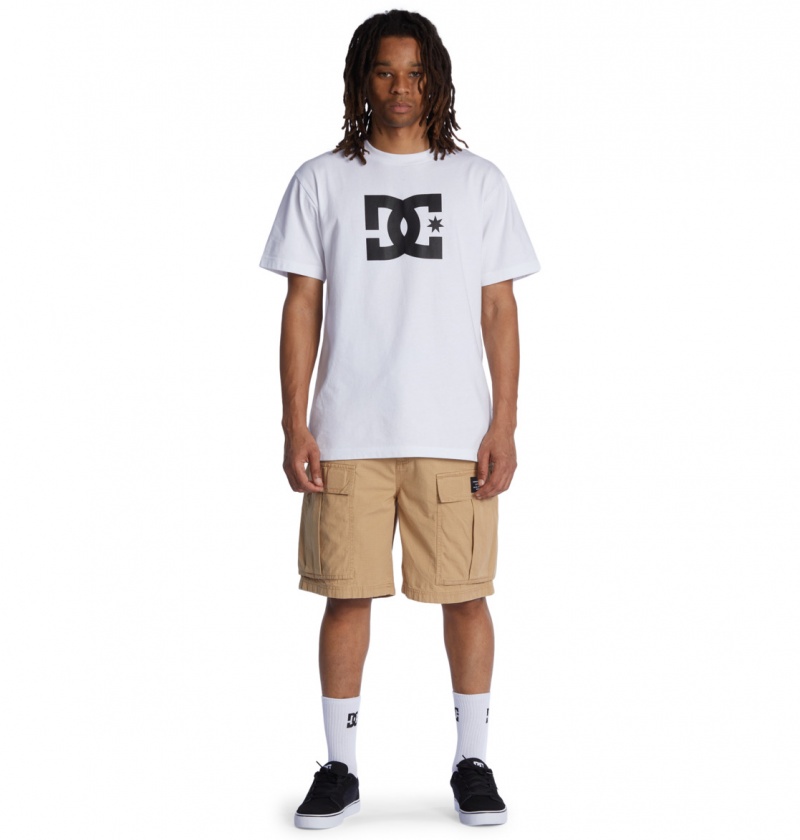 DC Shoes Tundra - Cargo Shorts Incense | 31684WNQD