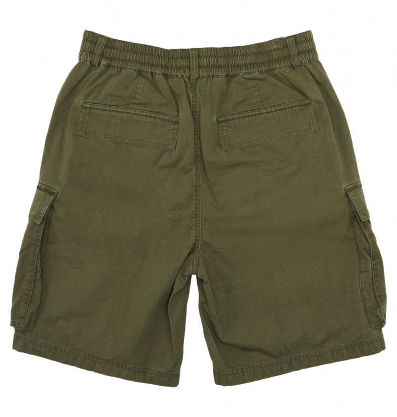 DC Shoes Tundra - Cargo Shorts Zielone | 49806BJYW