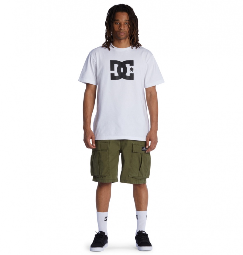 DC Shoes Tundra - Cargo Shorts Zielone | 49806BJYW