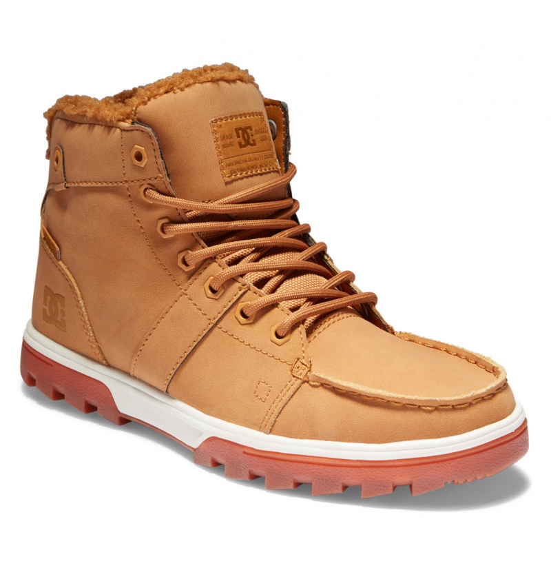 DC Shoes Woodland - Sherpa Podszewką Skórzane Boots Czekolada | 25967QZDE