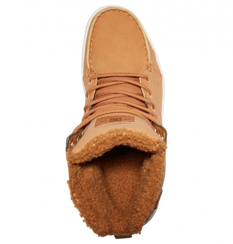 DC Shoes Woodland - Sherpa Podszewką Skórzane Boots Czekolada | 25967QZDE