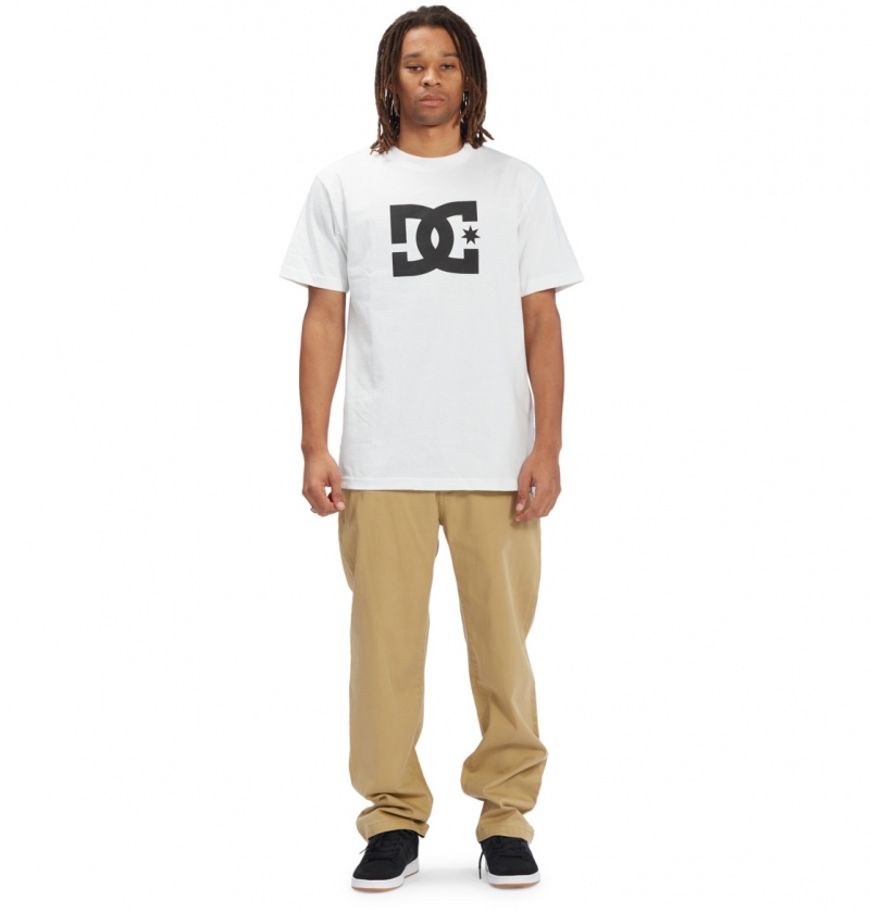 DC Shoes Worker Relaxed - Chinos Incense | 30421AKZT