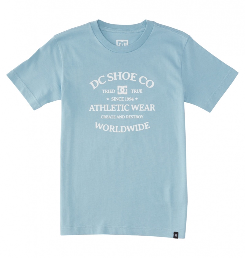 DC Shoes World Renowed - T-Shirt 10-16 Forget Me Not | 64879TMRI