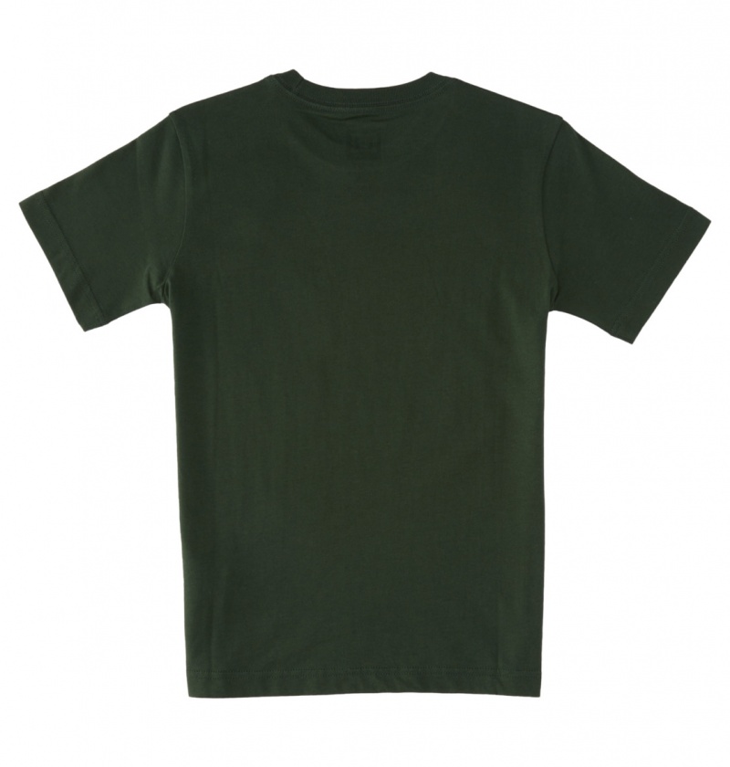 DC Shoes World Renowed - T-Shirt 10-16 Sycamore | 84621FDJR