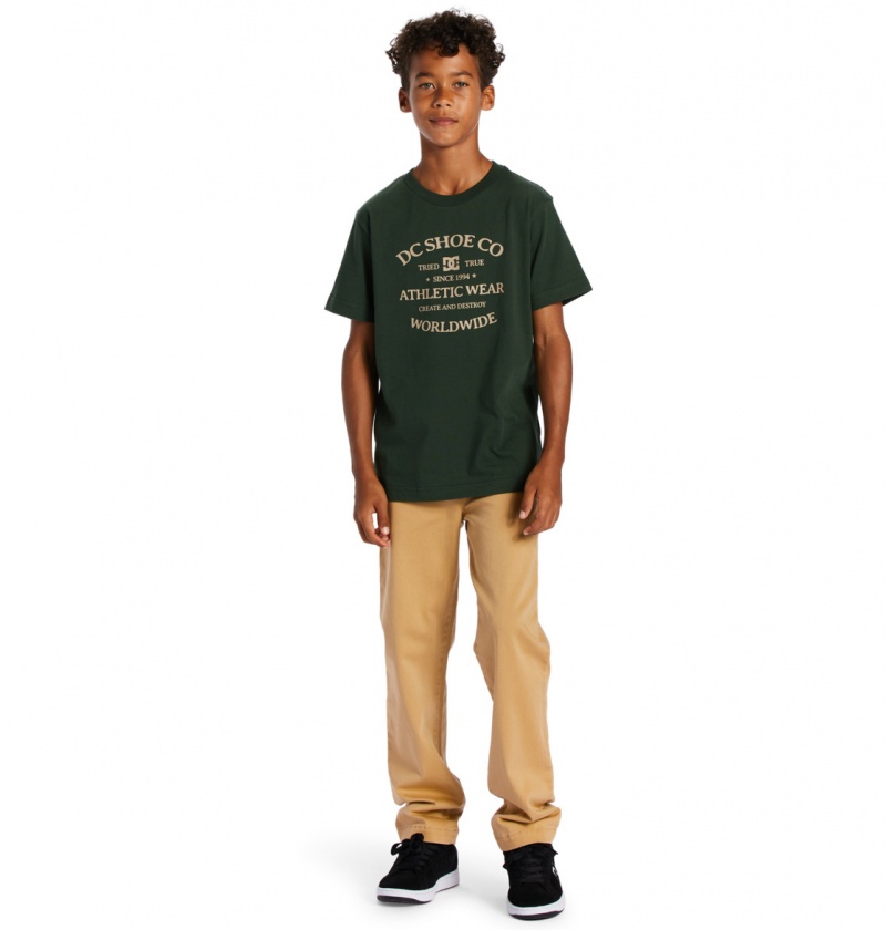 DC Shoes World Renowed - T-Shirt 10-16 Sycamore | 84621FDJR