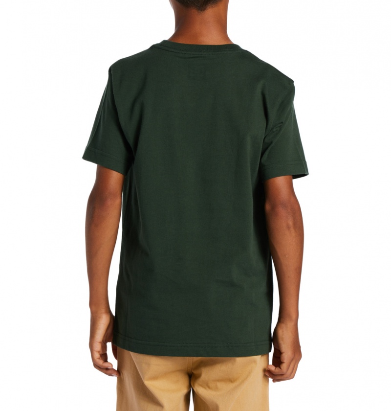 DC Shoes World Renowed - T-Shirt 10-16 Sycamore | 84621FDJR