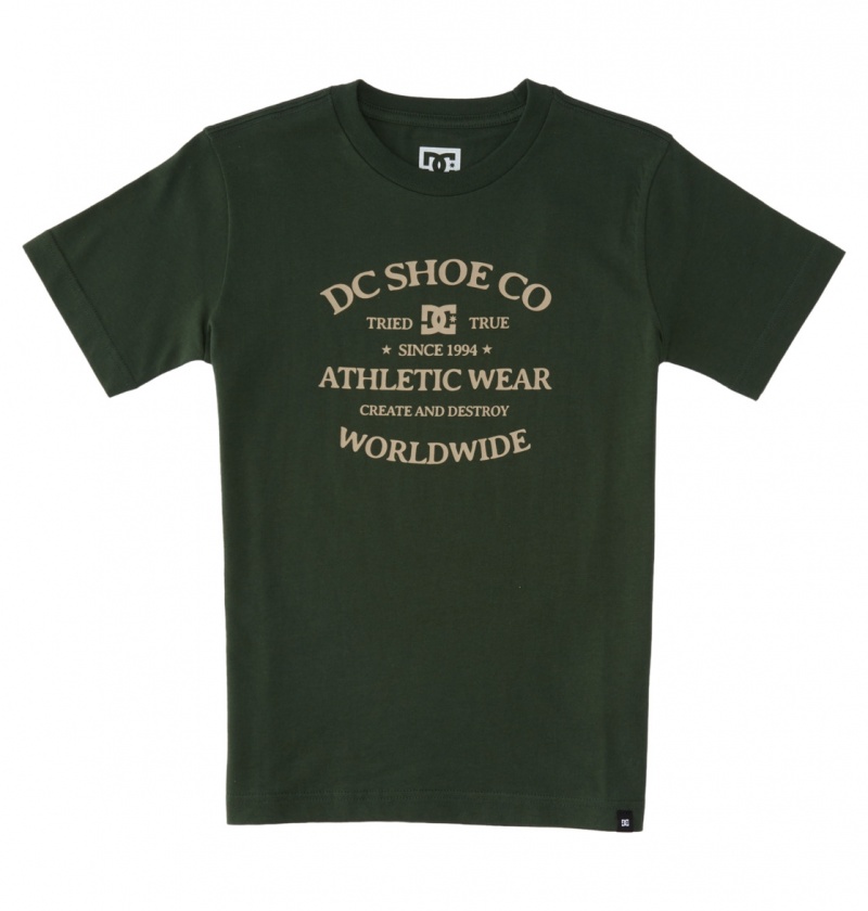 DC Shoes World Renowed - T-Shirt 10-16 Sycamore | 84621FDJR